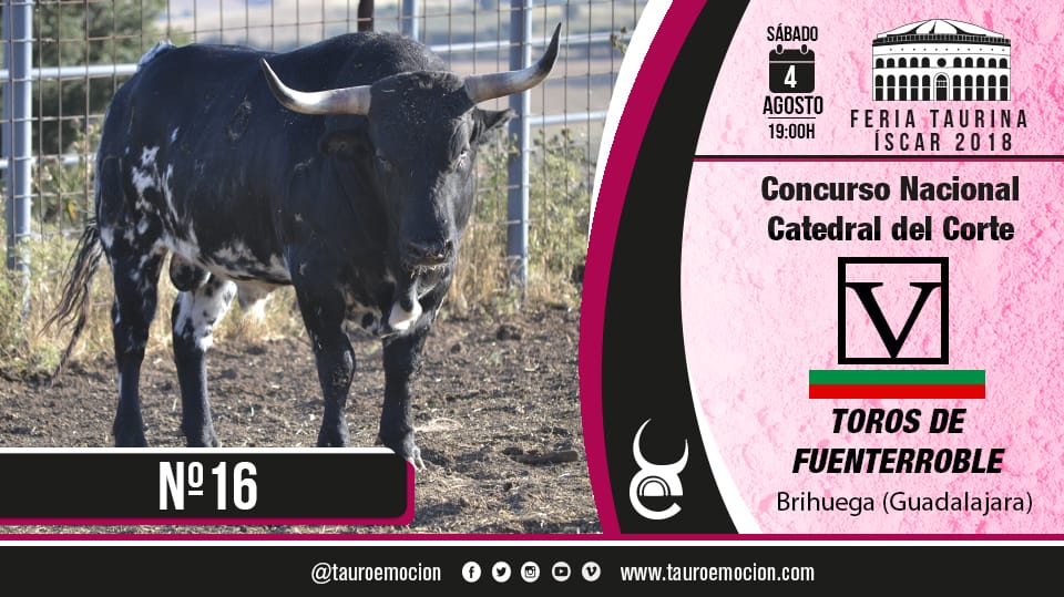 toro recortes iscar 2