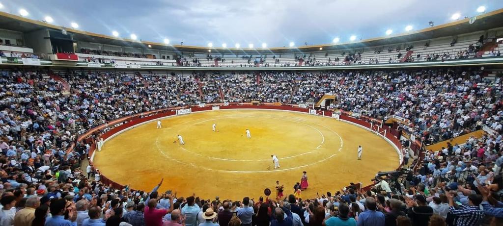 jose tomas jaen 2022