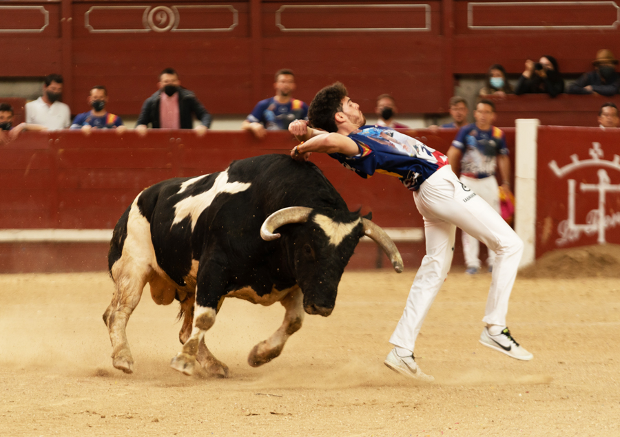 recortes corella 2022