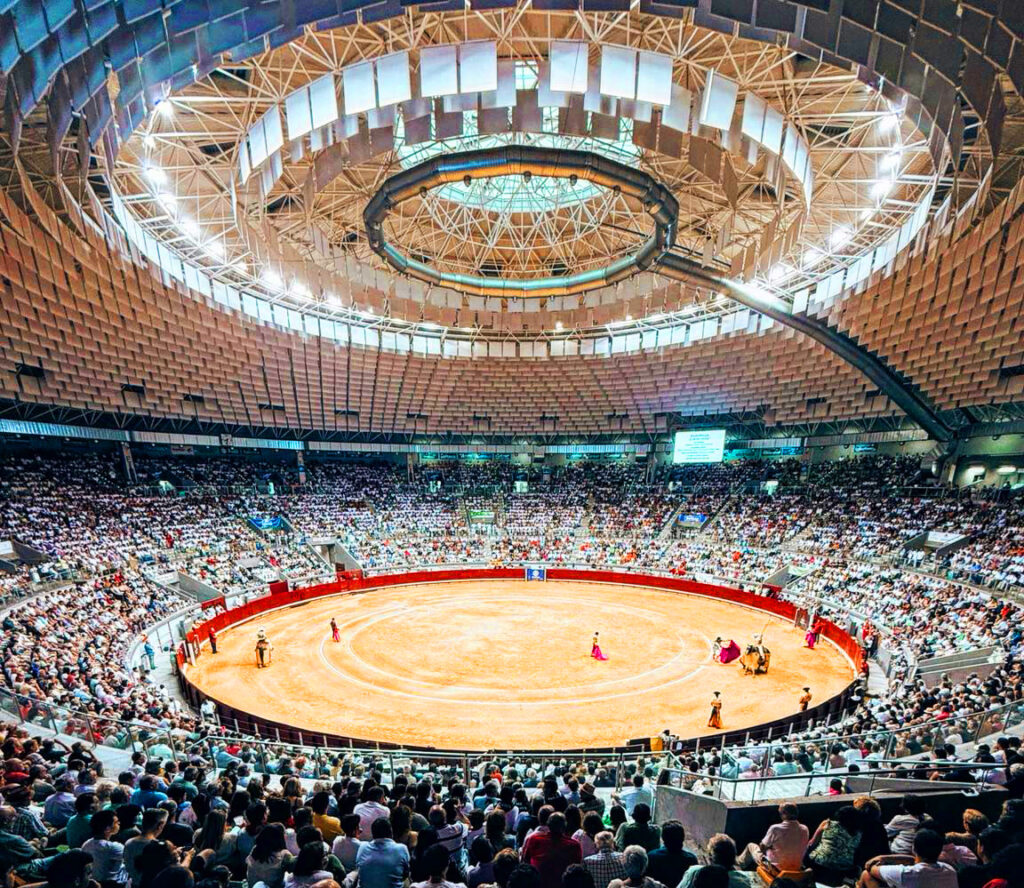 adjudicacion-plazatoros-burgos-2026-tauroemocion