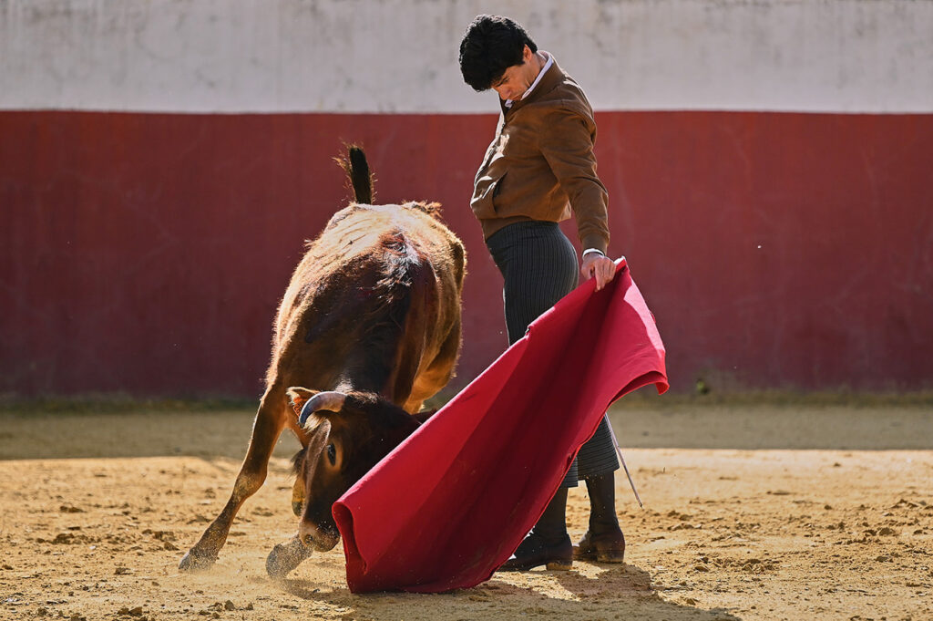 3-pablo-aguado-tentando-almendralejo-2026