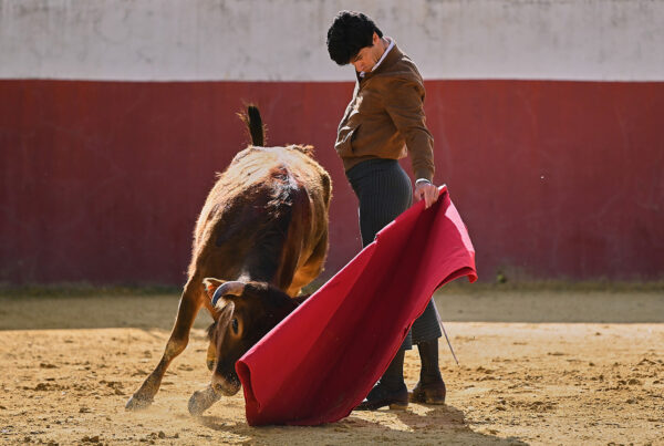 3-pablo-aguado-tentando-almendralejo-2026