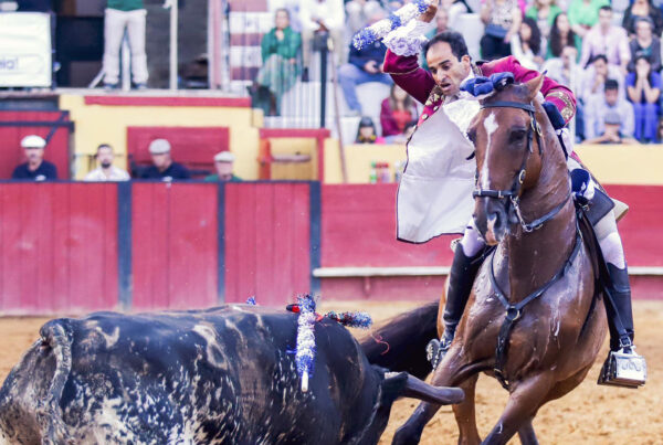 rejones-almendralejo-2026-2