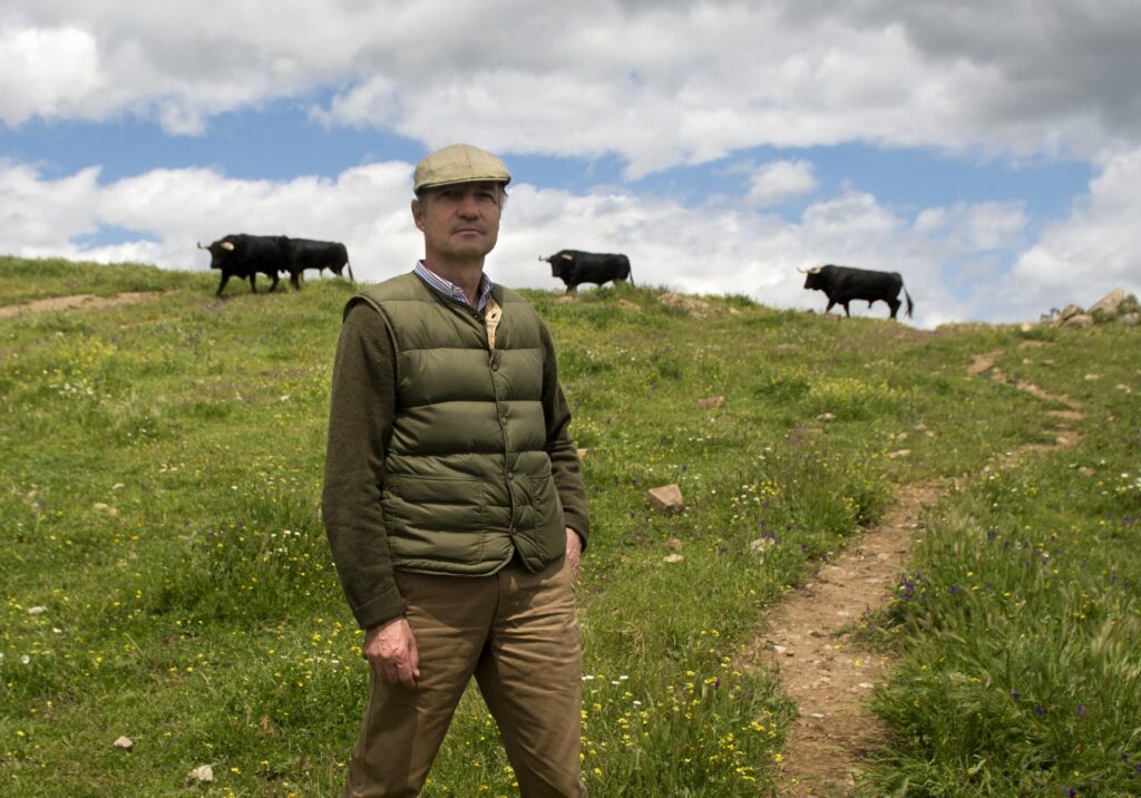 toros-jpdomecq-almendralejo-2026