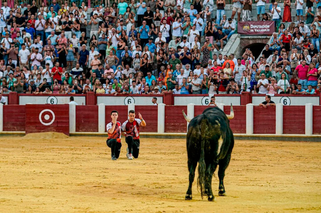 cortes valladolid 2026