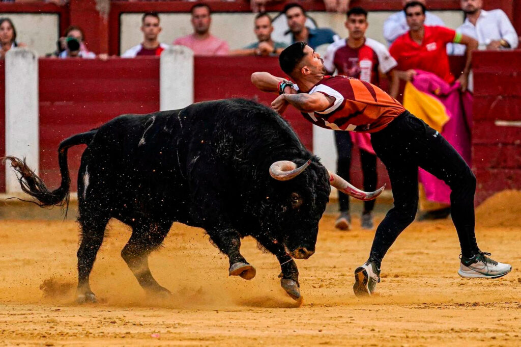 cortes valladolid 2026