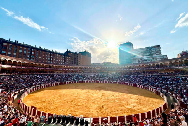cortes valladolid 2026