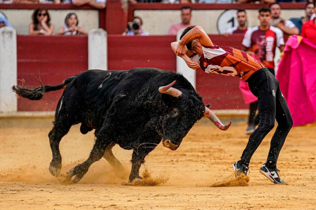 cortes valladolid 2026