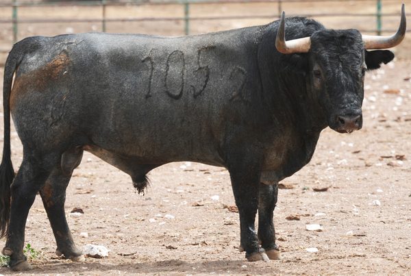 victorinos-valladolid-2026