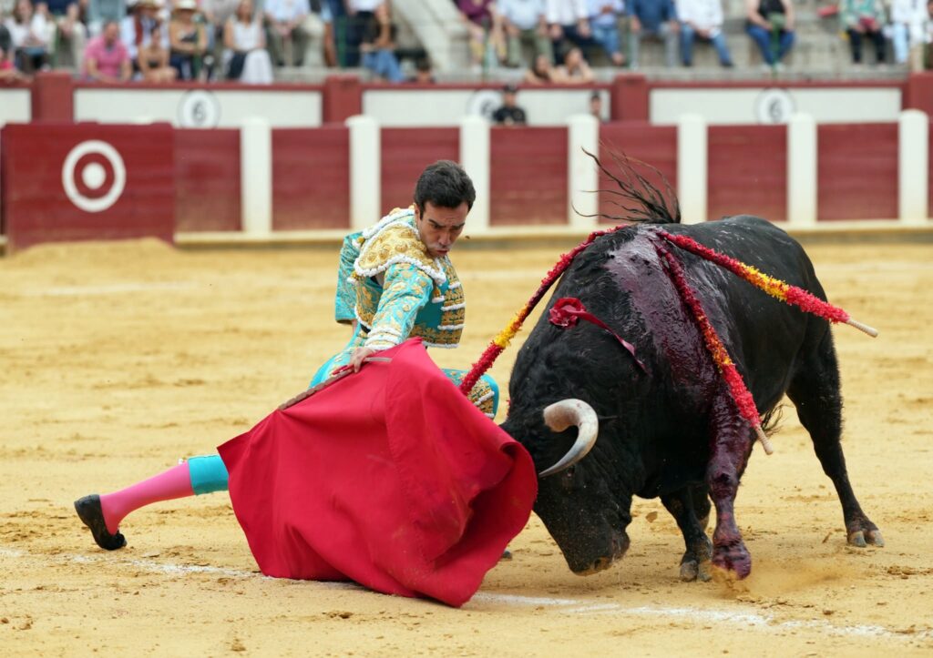 tomás rufo valladolid 2026