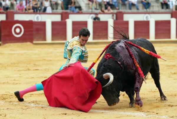 tomás rufo valladolid 2026